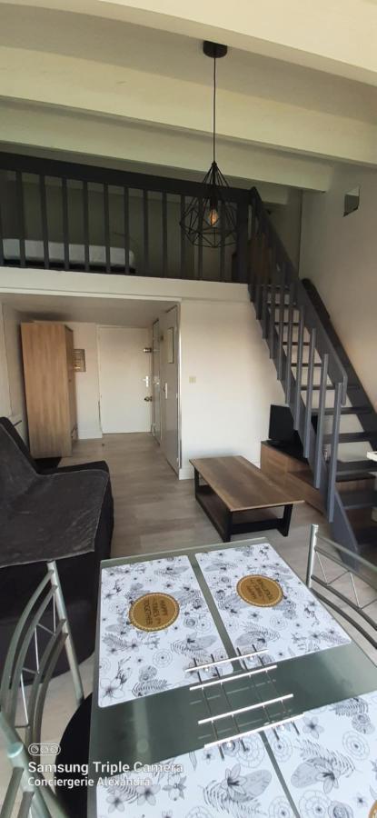 Vue Magique Sur La Marina - Appart En Duplex, Les Pieds Dans L'Eau Saint-Cyprien  Exterior photo